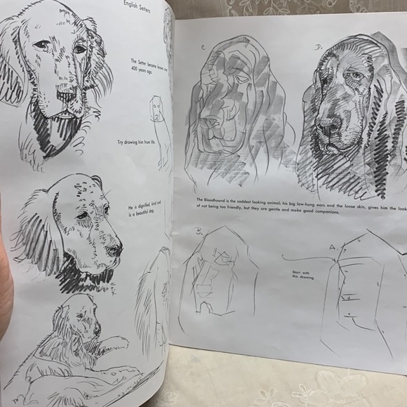 How to Draw & Paint Dogs 13" paperback book by Walter Foster 1989 - Picture 7 of 11